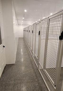Country K9 kennels — inside entrance - long hallway.