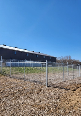 Country K9 kennels — outside running and play area for dogs