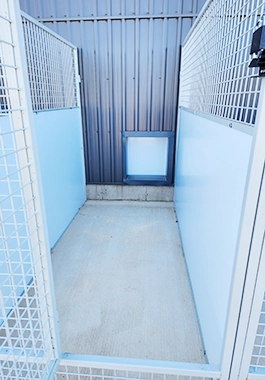Country K9 kennels — outside gates to the play area, view of single unit