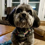 Coco posing for camera